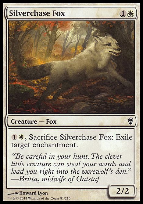 Hovedbilde Silverchase Fox