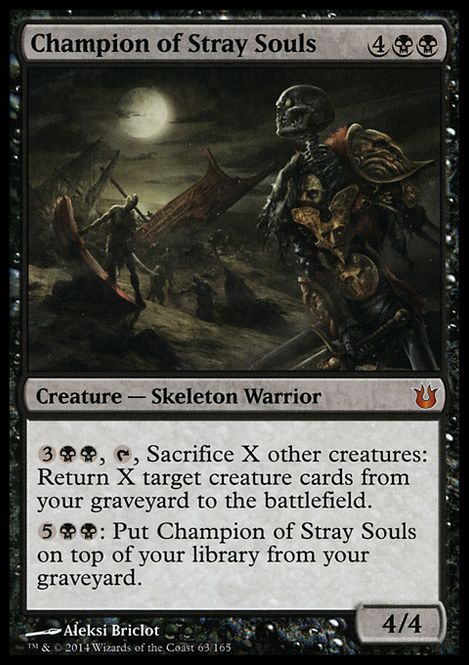 Hovedbilde Champion of Stray Souls