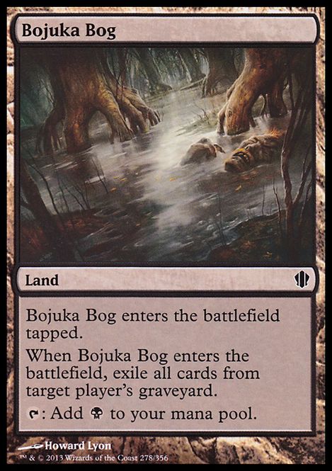 Hovedbilde Bojuka Bog