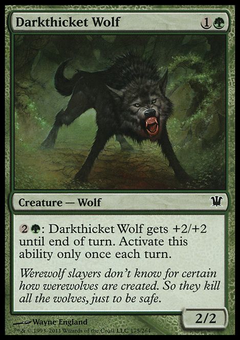 Hovedbilde Darkthicket Wolf
