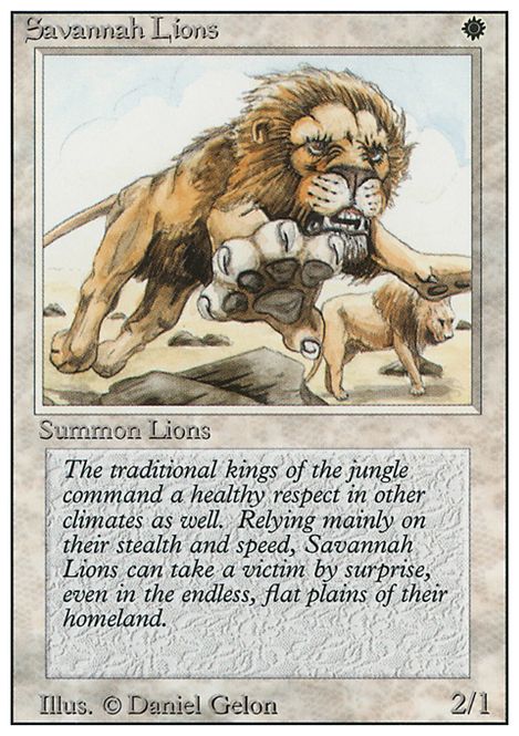 Hovedbilde Savannah Lions