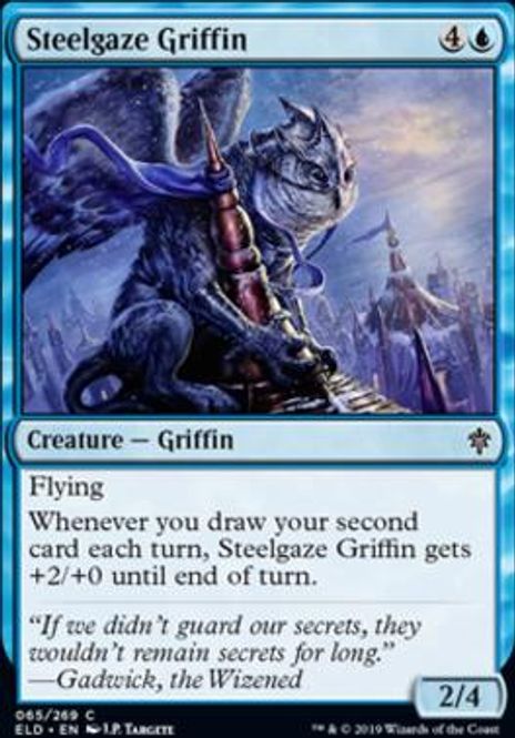 Hovedbilde Steelgaze Griffin