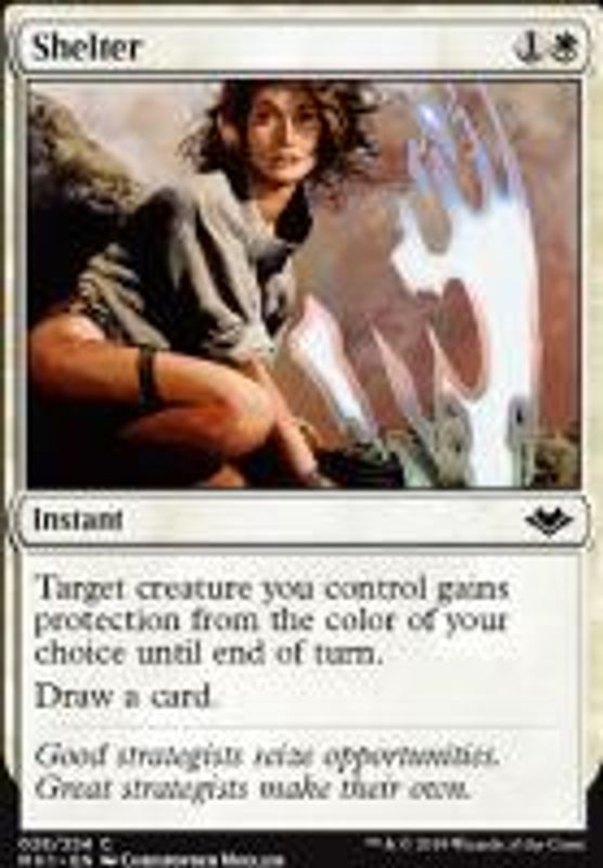Shelter (foil)