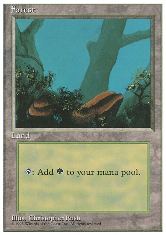 Forest (B)