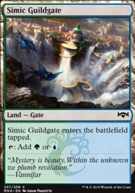 Hovedbilde Simic Guildgate 257A