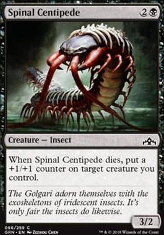 Spinal Centipede