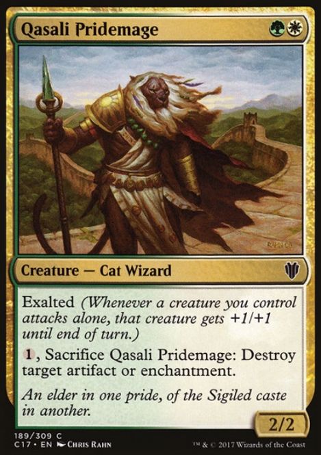 Hovedbilde Qasali Pridemage