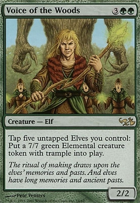 Voice of the Woods