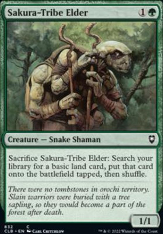Sakura-Tribe Elder