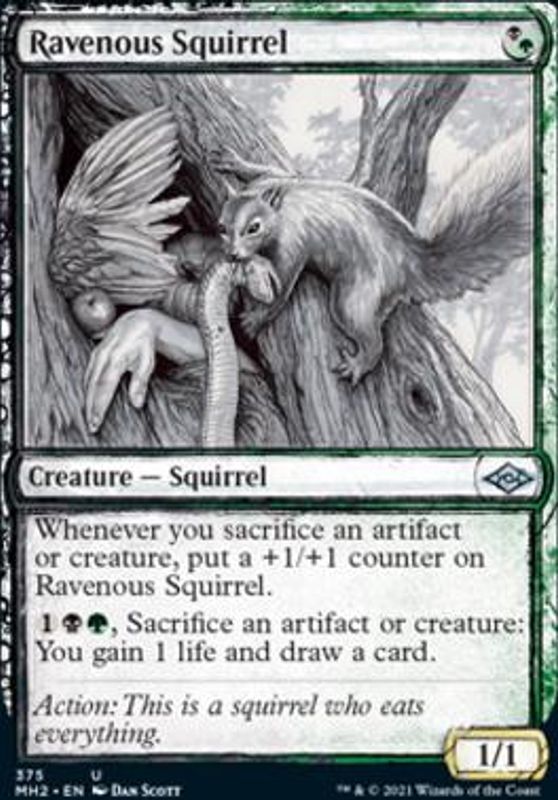 Ravenous Squirrel (Showcase)
