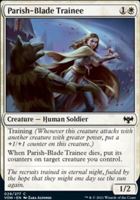 Hovedbilde Parish-Blade Trainee