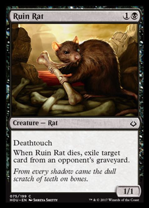 Hovedbilde Ruin Rat