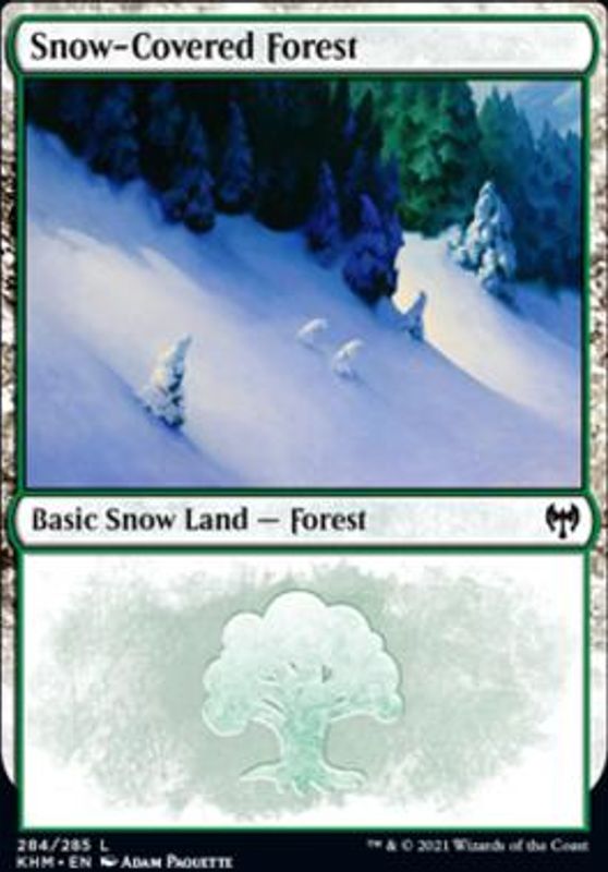 Snow-Covered Forest (284)