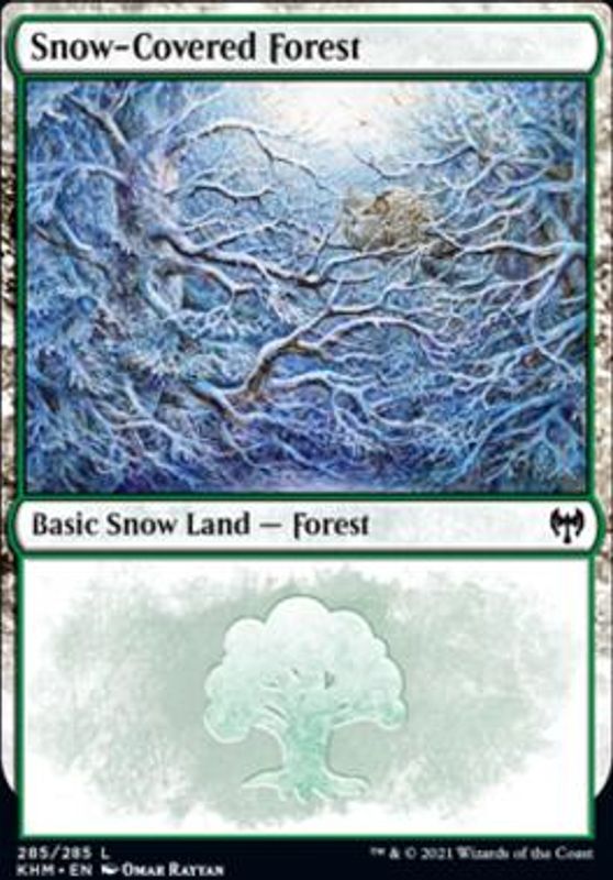 Snow-Covered Forest (285)