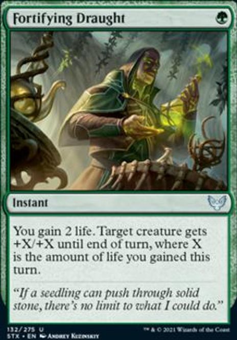 Hovedbilde Fortifying Draught (foil)