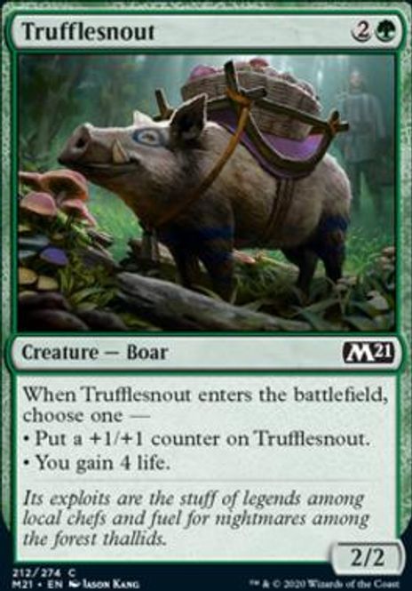 Hovedbilde Trufflesnout