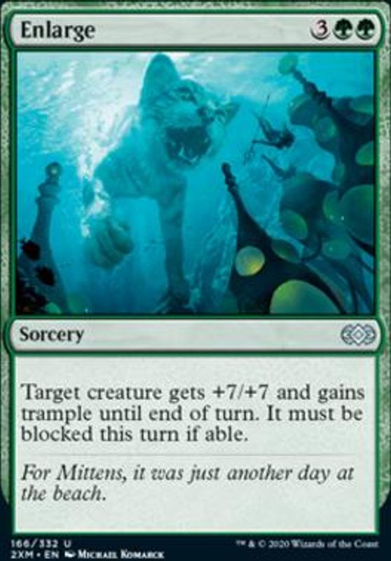 Enlarge (foil)