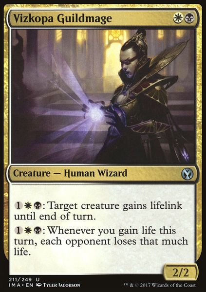 Hovedbilde Vizkopa Guildmage