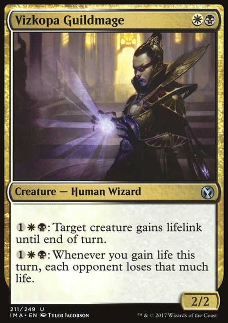 Hovedbilde Vizkopa Guildmage