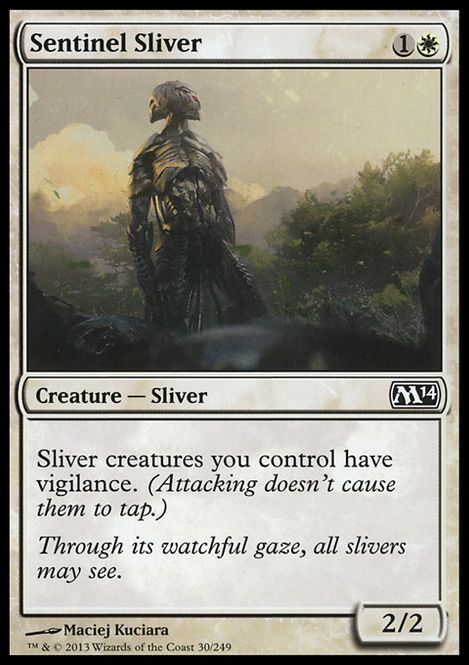 Hovedbilde Sentinel Sliver