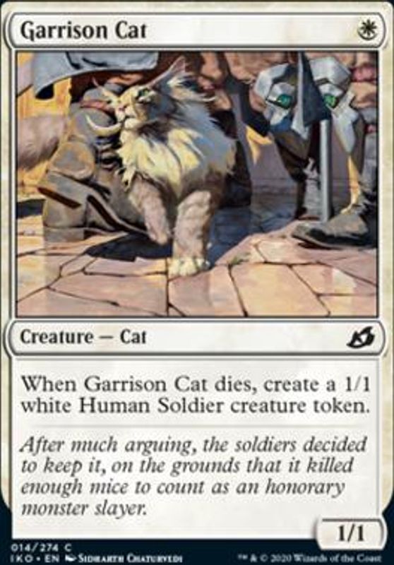 Garrison Cat
