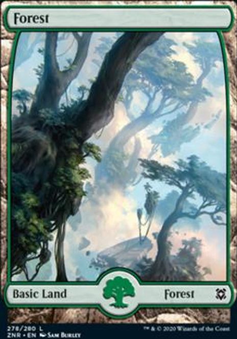 Hovedbilde Forest (278)