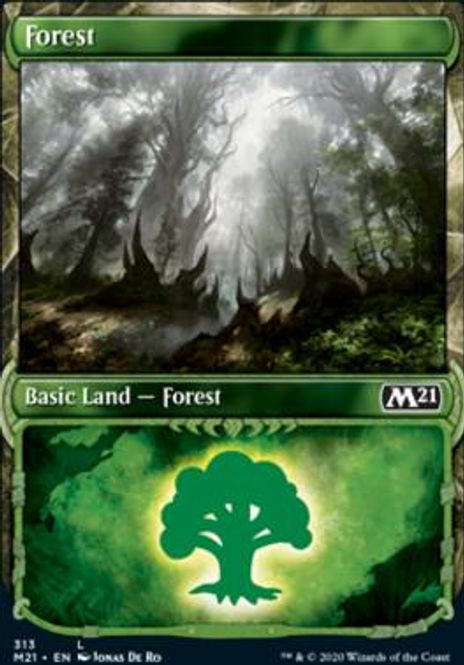 Hovedbilde Forest (Showcase)