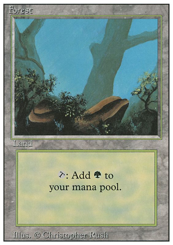 Forest B