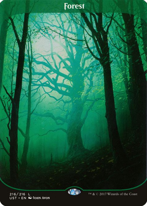 Hovedbilde Forest (foil)