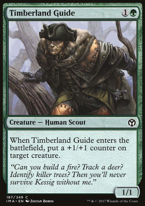 Hovedbilde Timberland Guide