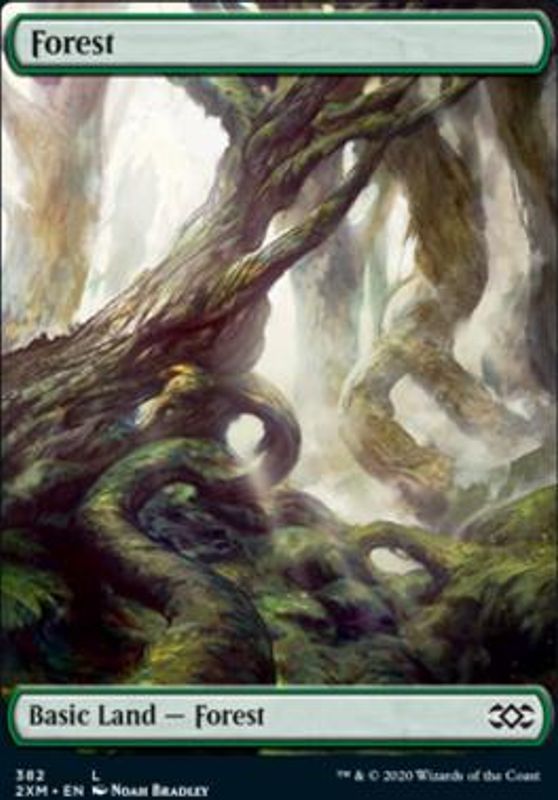 Forest (382)