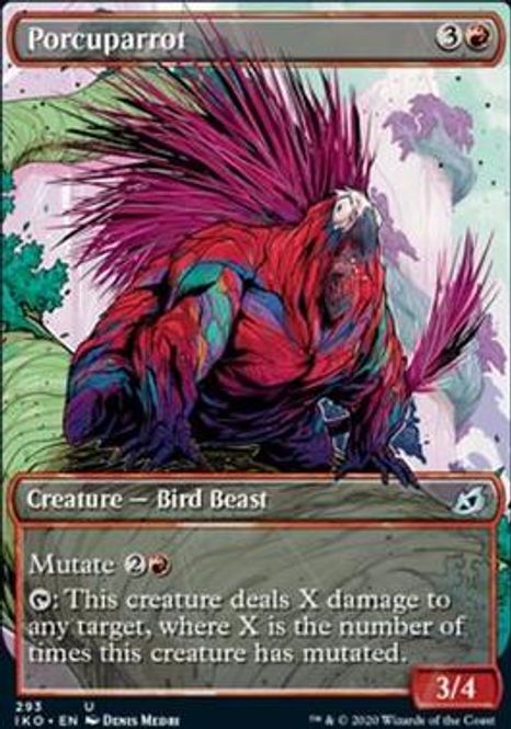 Hovedbilde Porcuparrot (showcase)