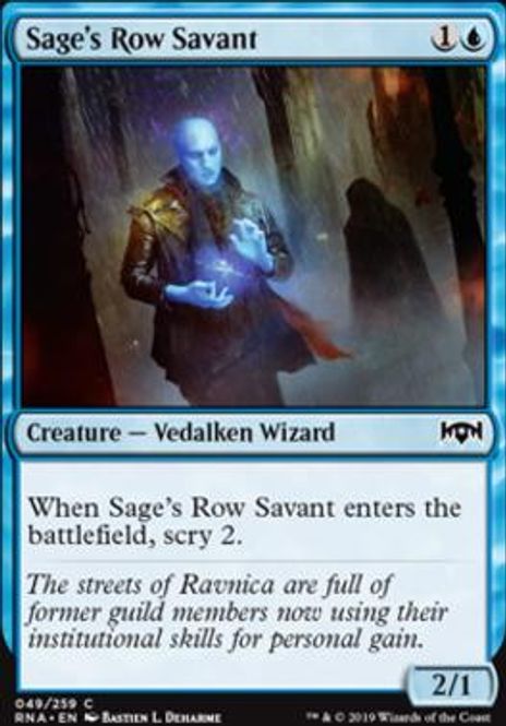 Hovedbilde Sage's Row Savant