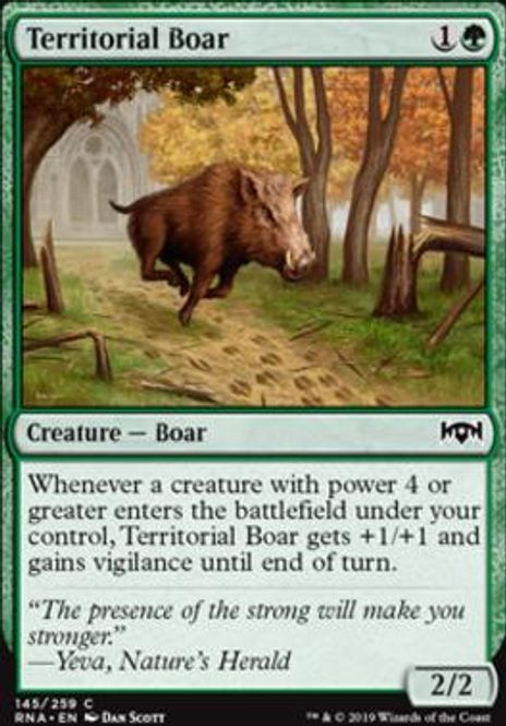 Hovedbilde Territorial Boar
