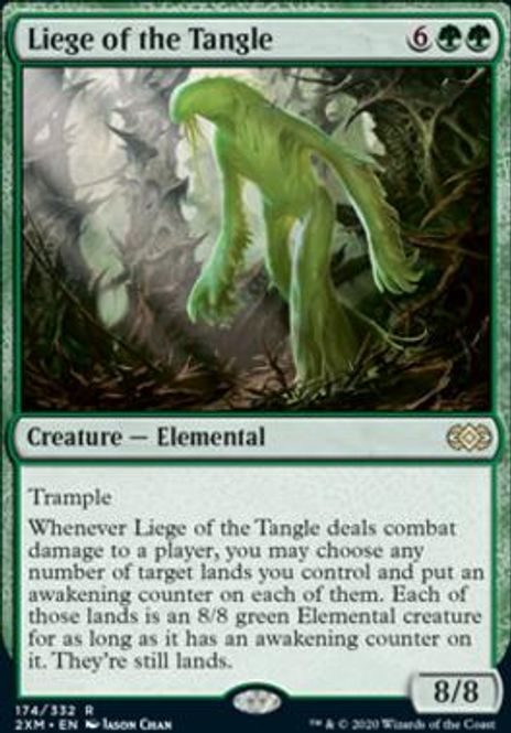 Hovedbilde Liege of the Tangle