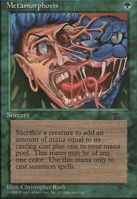 Hovedbilde Metamorphosis