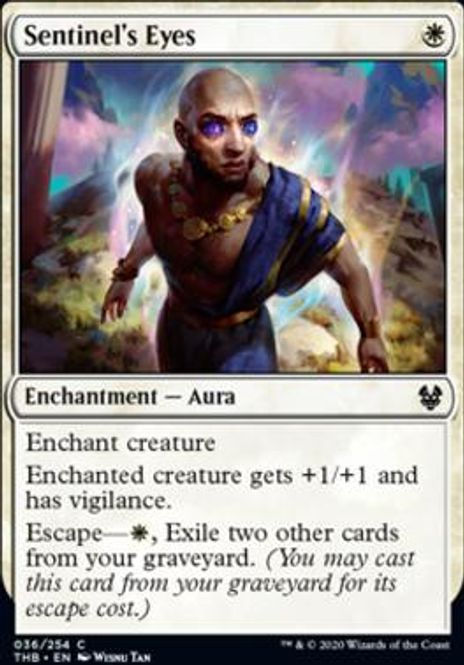 Hovedbilde Sentinel's Eyes