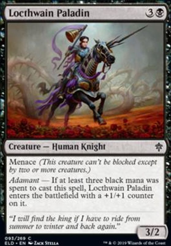 Lochtwain Paladin
