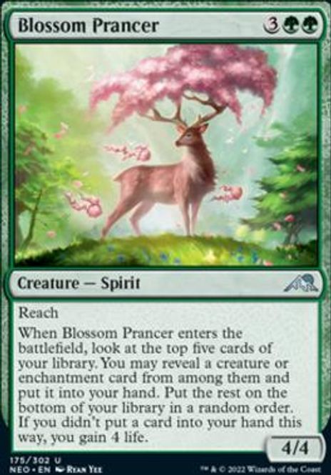 Hovedbilde Blossom Prancer