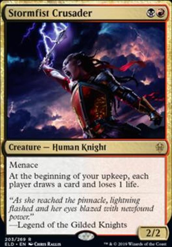 Stormfist Crusader