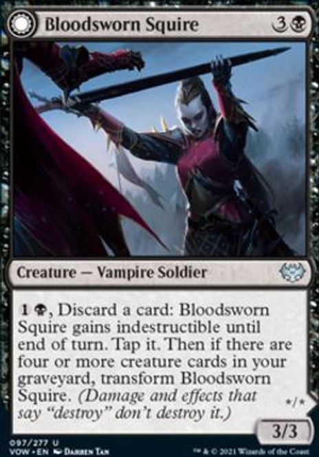 Hovedbilde Bloodsworn Squire