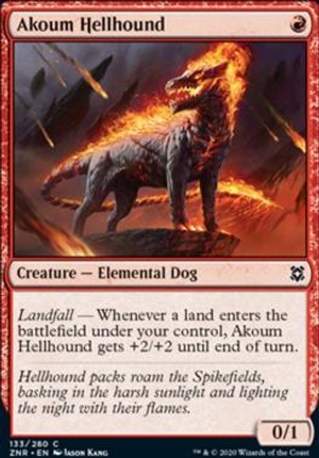 Hovedbilde Akoum Hellhound