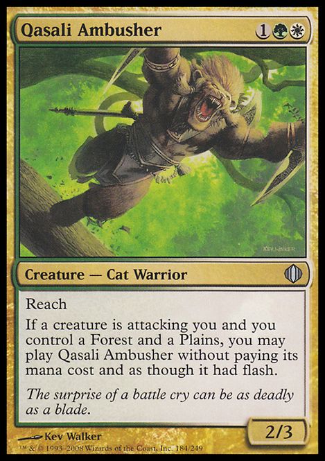 Hovedbilde Qasali Ambusher