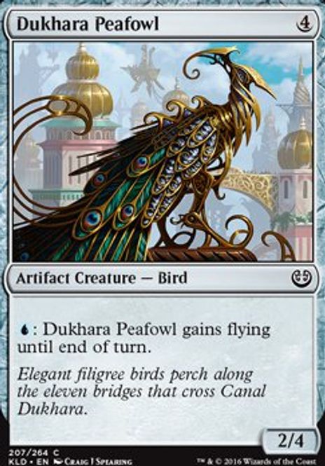 Hovedbilde Dukhara Peafowl