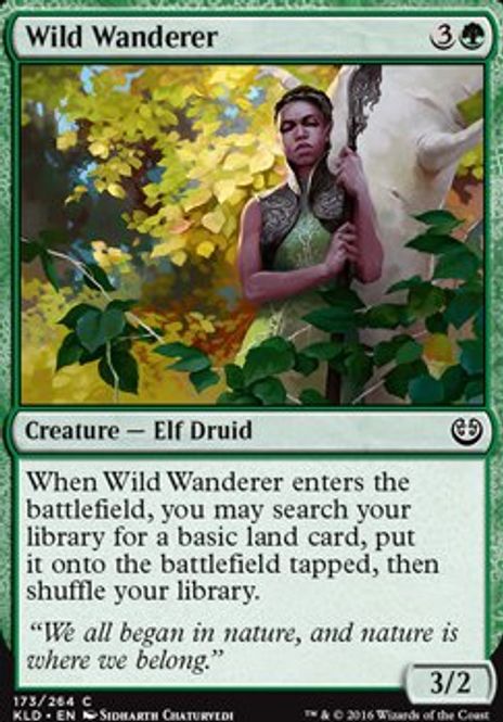 Hovedbilde Wild Wanderer