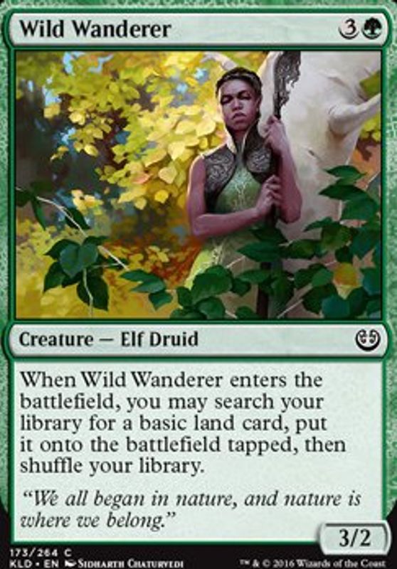 Wild Wanderer