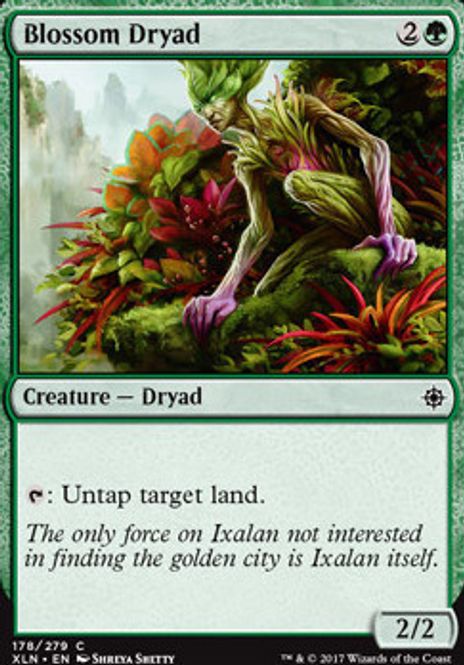 Hovedbilde Blossom Dryad