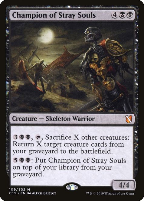 Hovedbilde Champion of Stray Souls