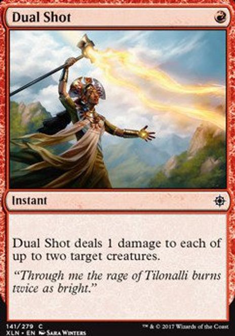 Hovedbilde Dual Shot