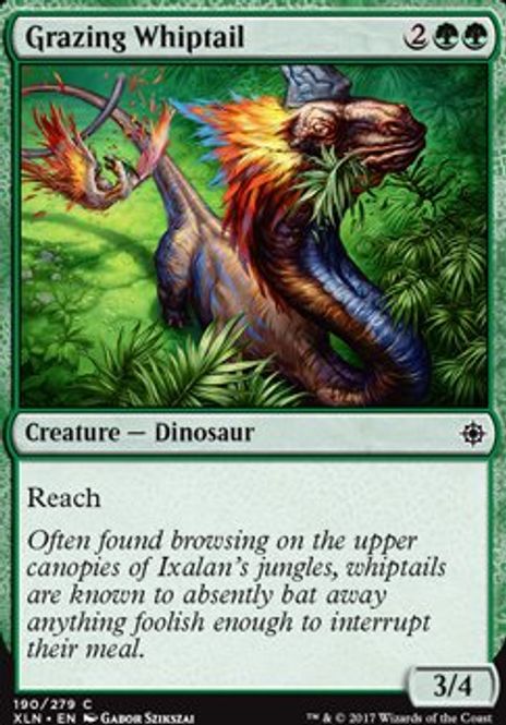 Hovedbilde Grazing Whiptail